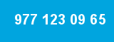 977 123 09 65